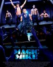 Magic Mike (2012)