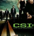 Csi (2000-)