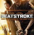 Heatsrtoke 2013 Brrip