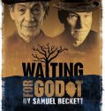 Waiting for Godot (2001)
