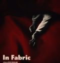 In Fabric (2018)